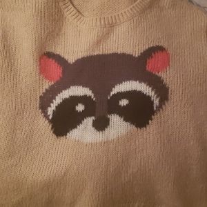 Rewind raccoon sweater